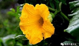 花花娱乐带你吃瓜,花花娱乐带你揭秘娱乐圈最新“吃瓜”事件